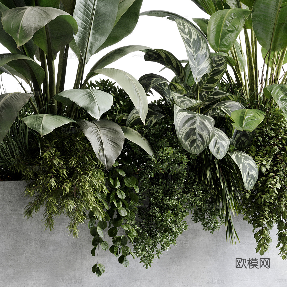 现代混凝土植物箱 盆栽3d模型