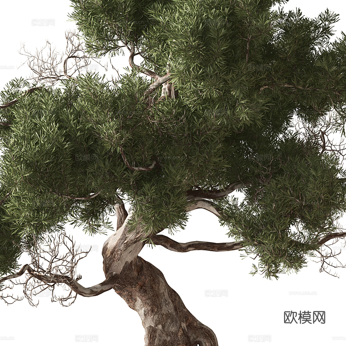 新中式绿植盆景盆栽3d模型