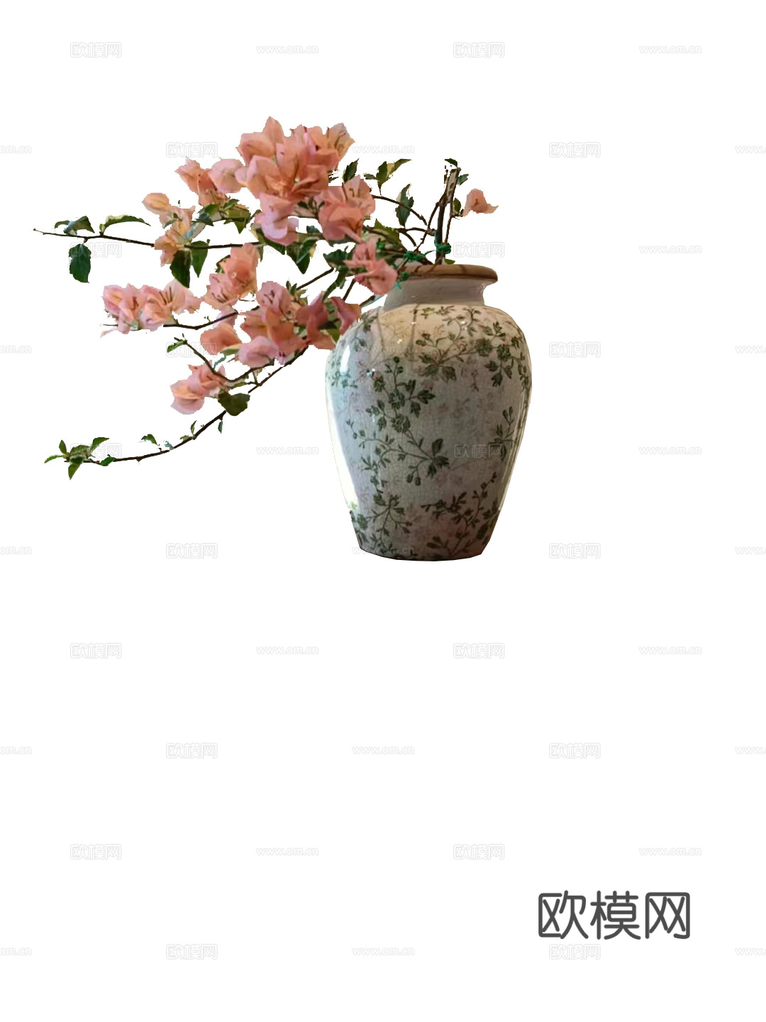 绿植 盆栽 鲜花