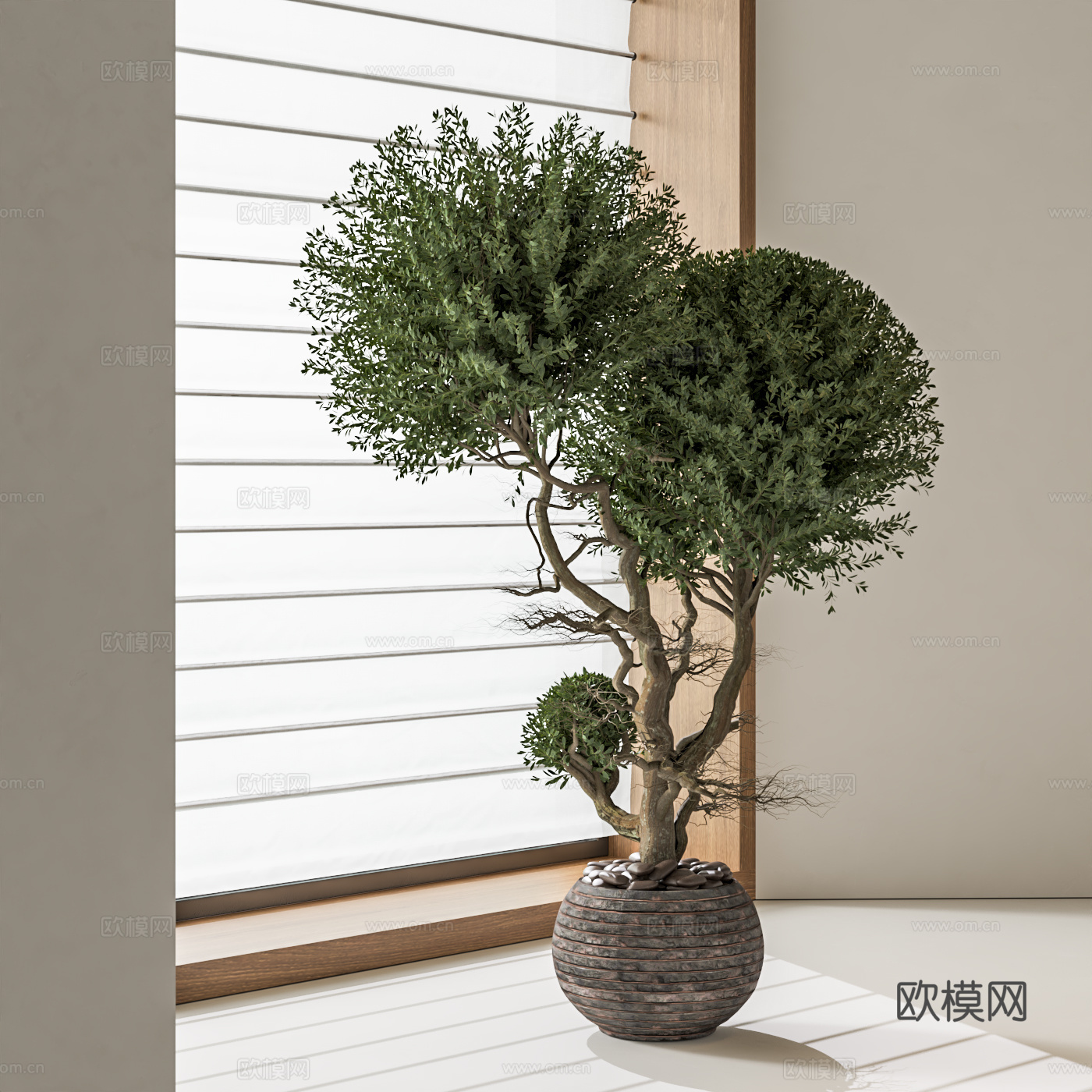 植物盆栽 绿植盆栽 盆景su模型