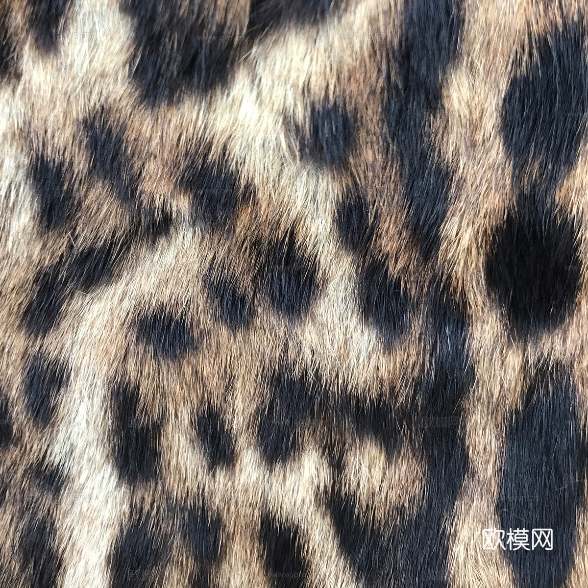 短毛皮 动物毛发  豹纹