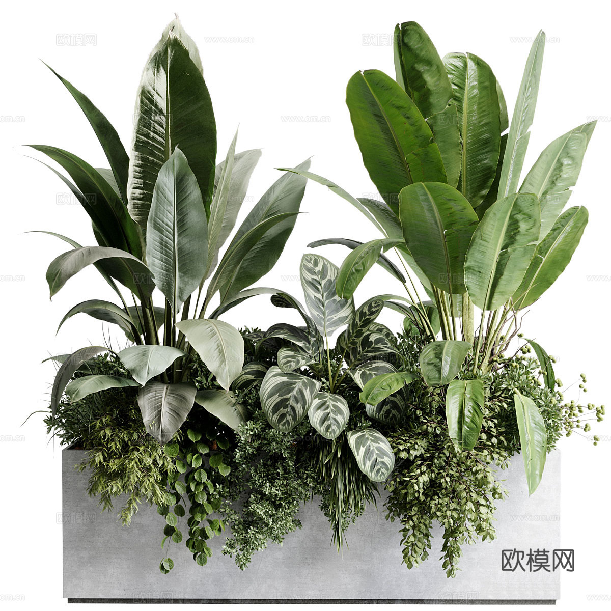 现代混凝土植物箱 盆栽3d模型