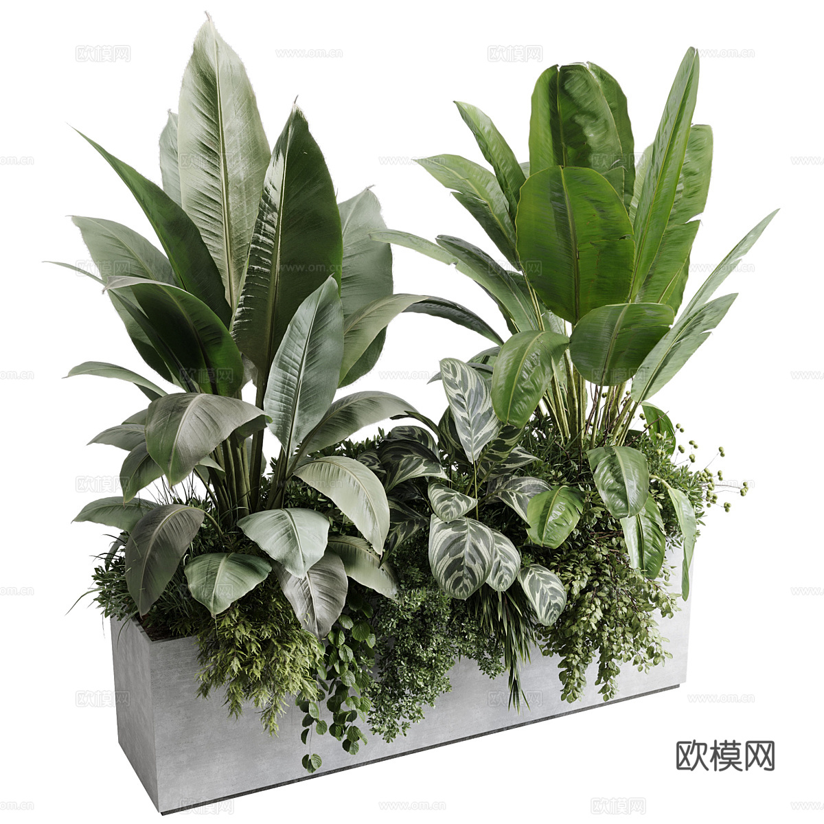 现代混凝土植物箱 盆栽3d模型