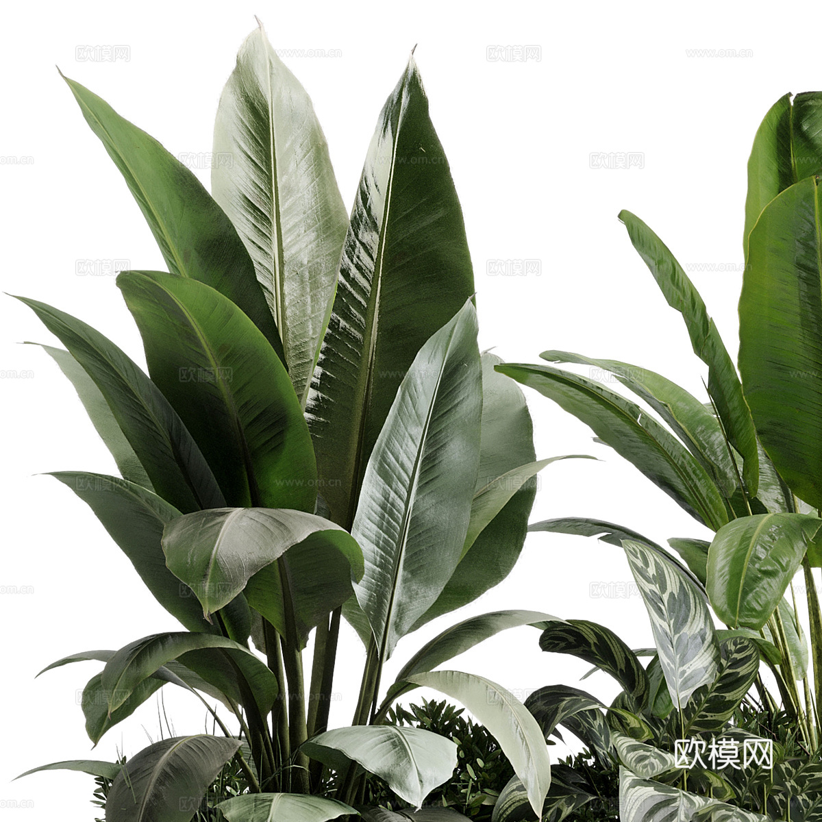 现代混凝土植物箱 盆栽3d模型