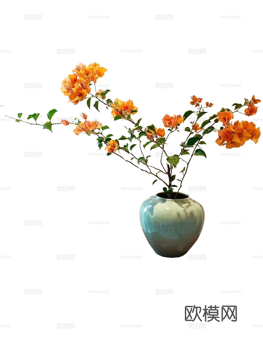 绿植 盆栽 鲜花