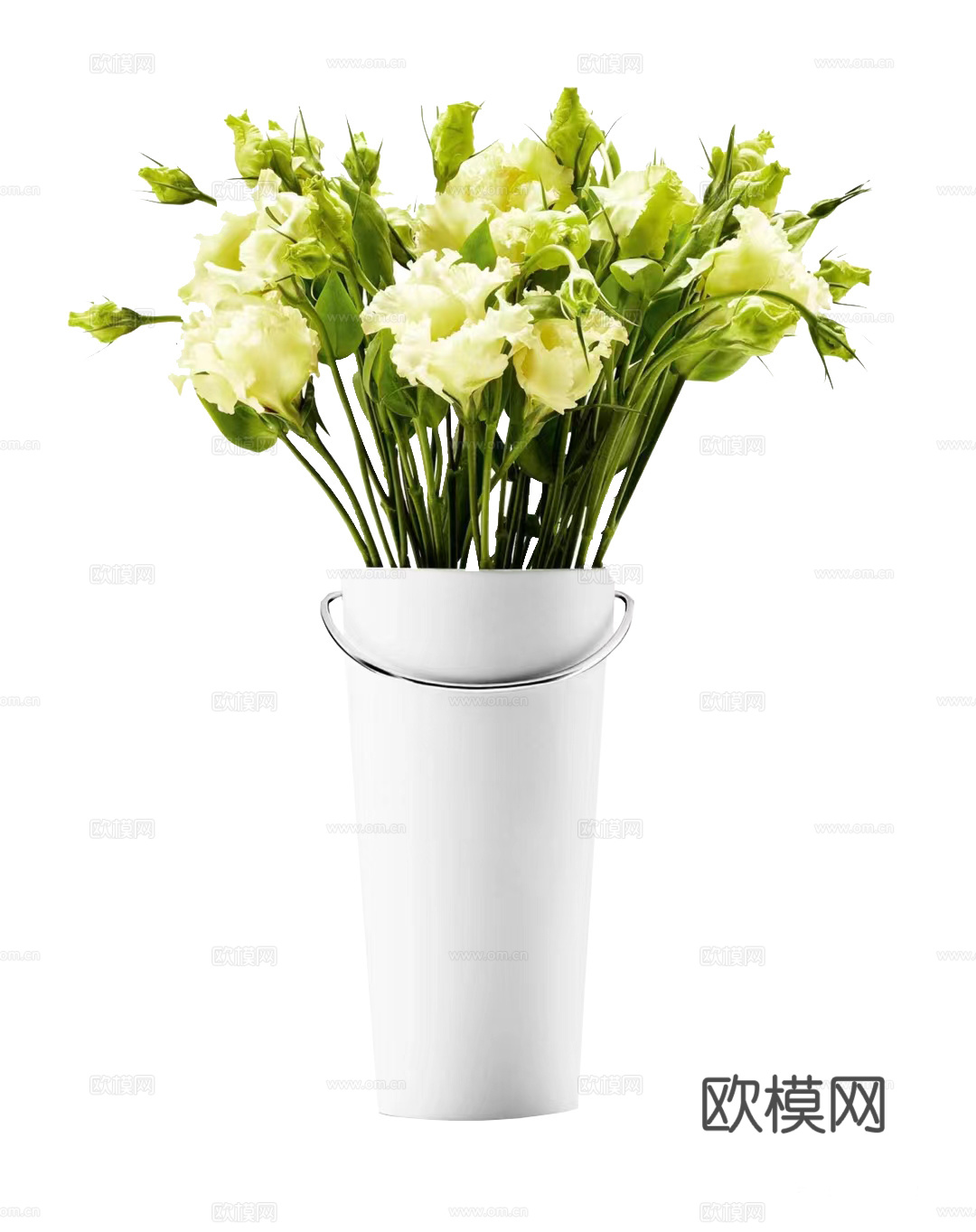 绿植 盆栽 鲜花