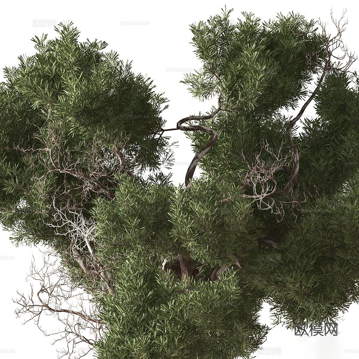 新中式绿植盆景盆栽3d模型