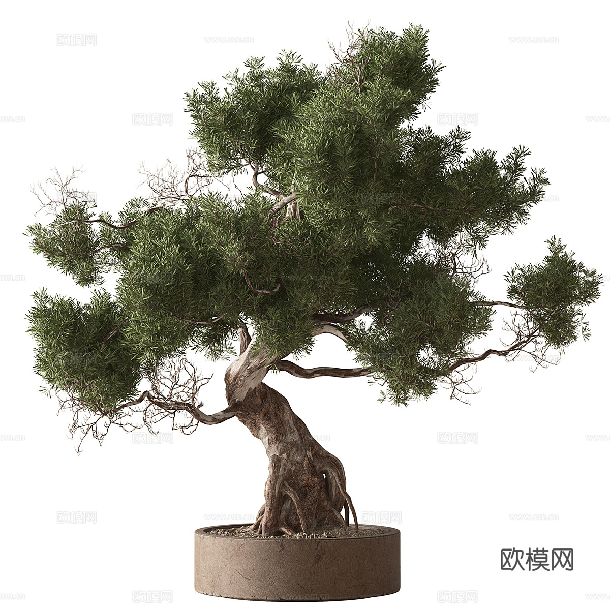 新中式绿植盆景盆栽3d模型