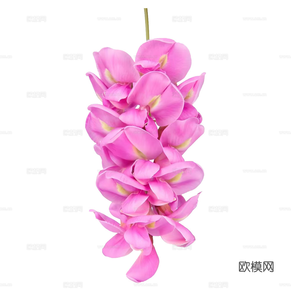 绿植 鲜花
