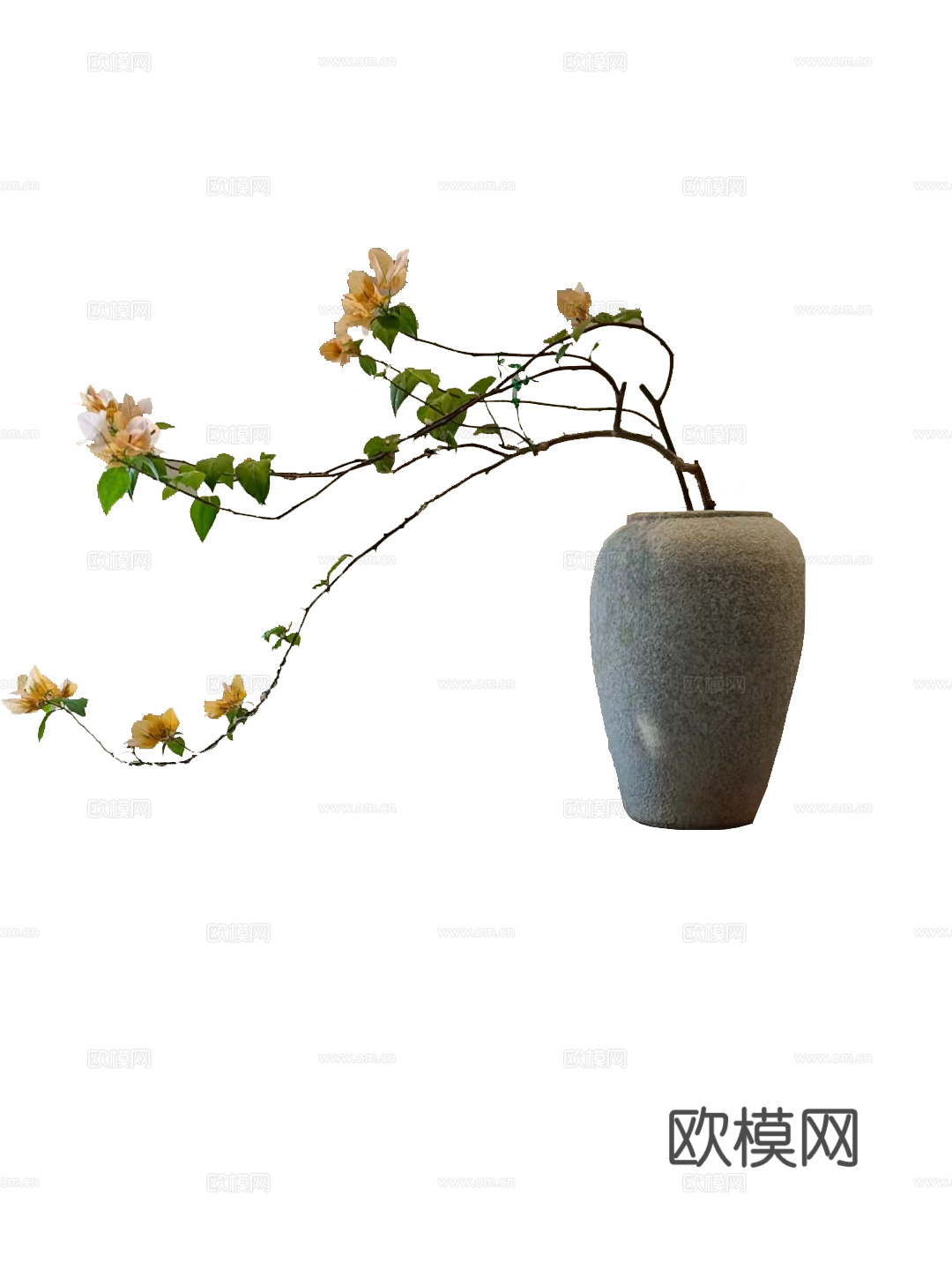 绿植 盆栽 鲜花