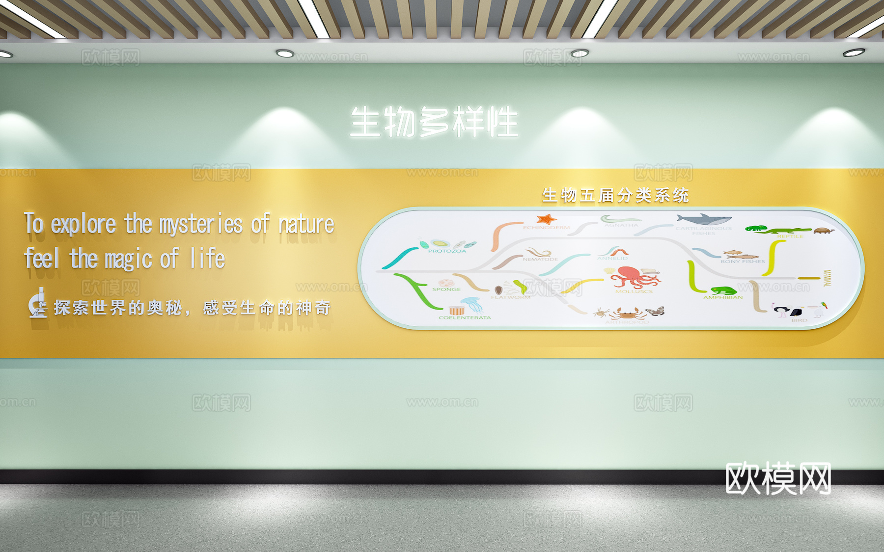 生物实验背景墙生物科学文化氛围墙生物进化论3d模型