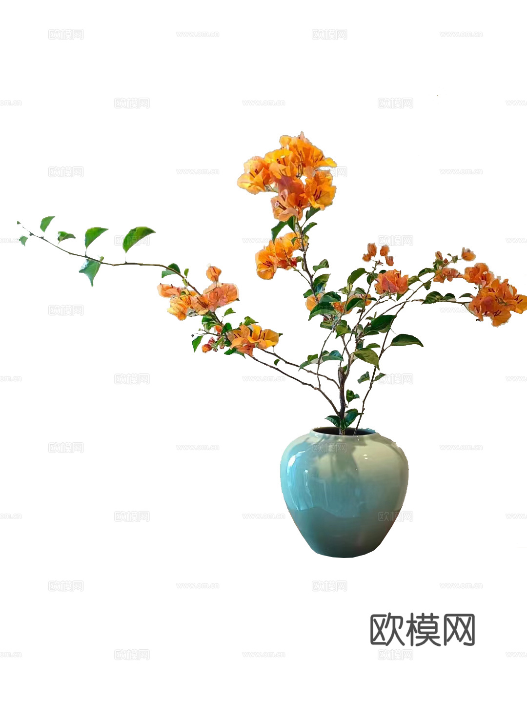 绿植 盆栽 鲜花