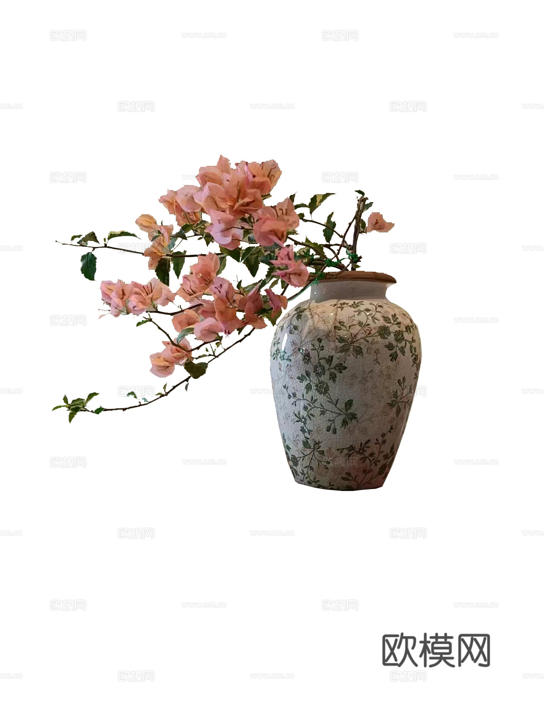 绿植 盆栽 鲜花