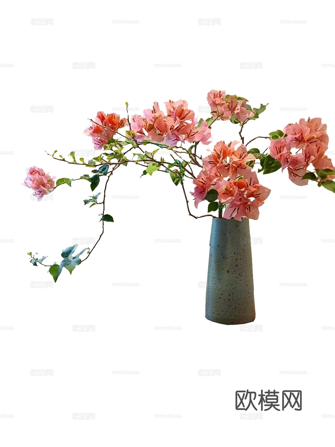 绿植 盆栽 鲜花