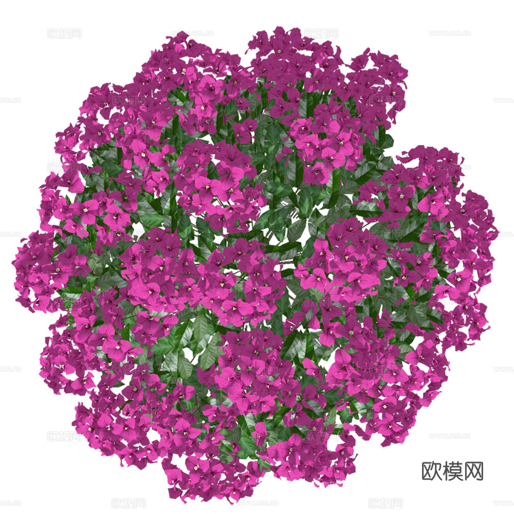 PNG免扣植物