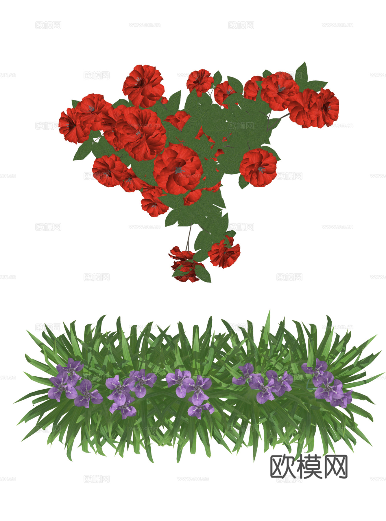 PNG免扣植物