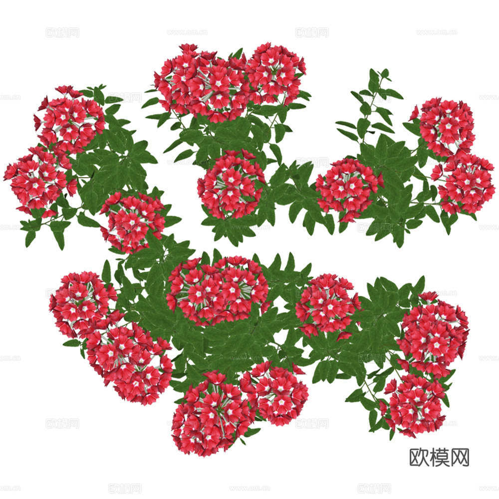 PNG免扣植物