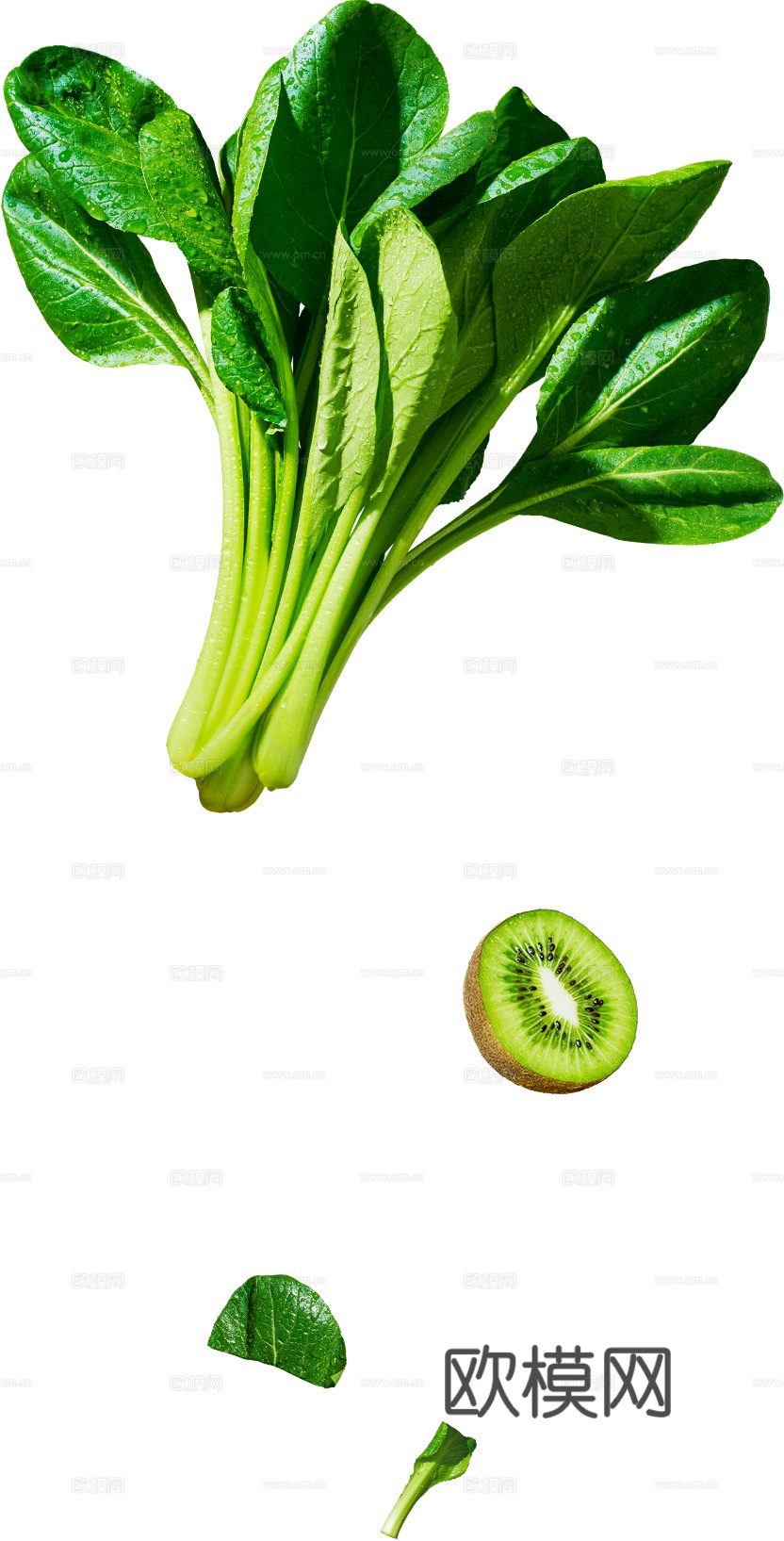 PNG免扣蔬菜