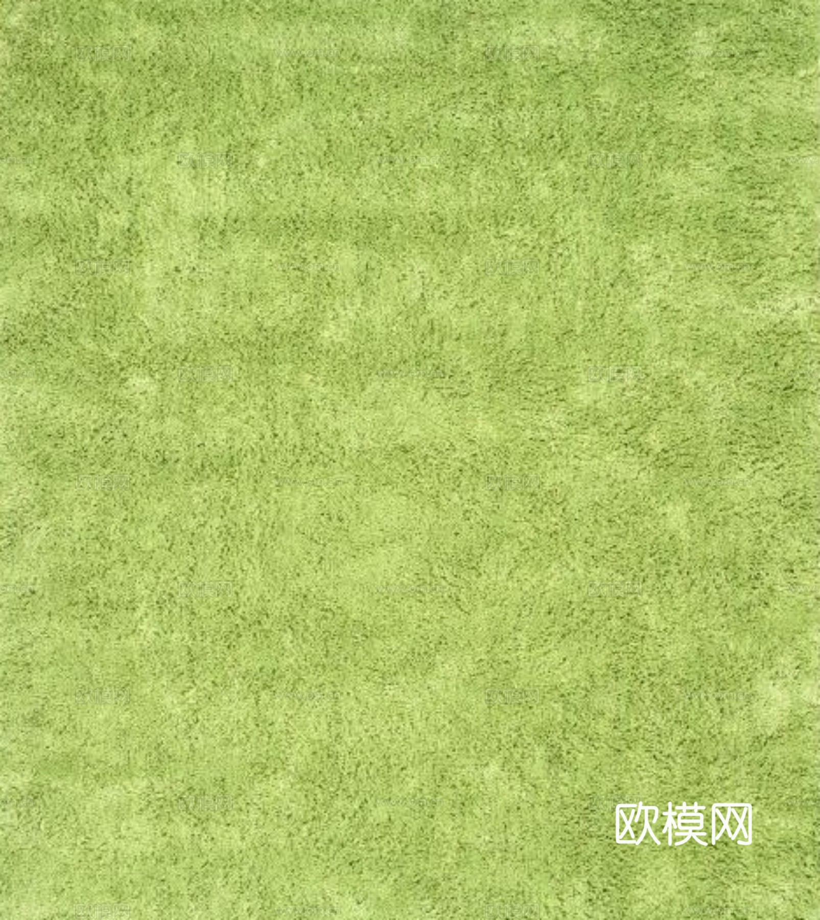 草地 草皮