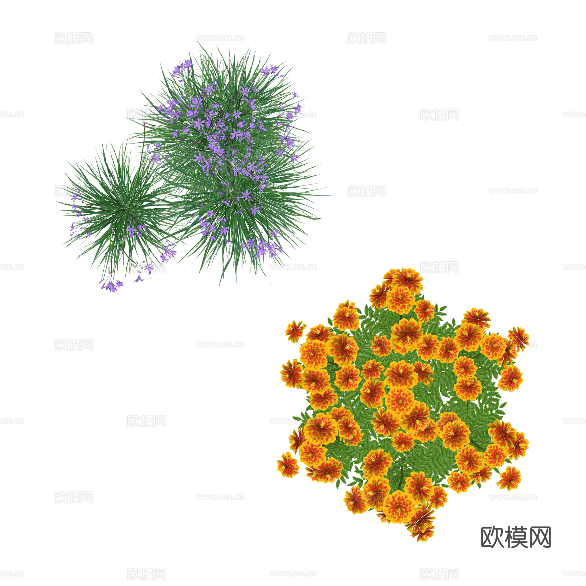 PNG免扣植物