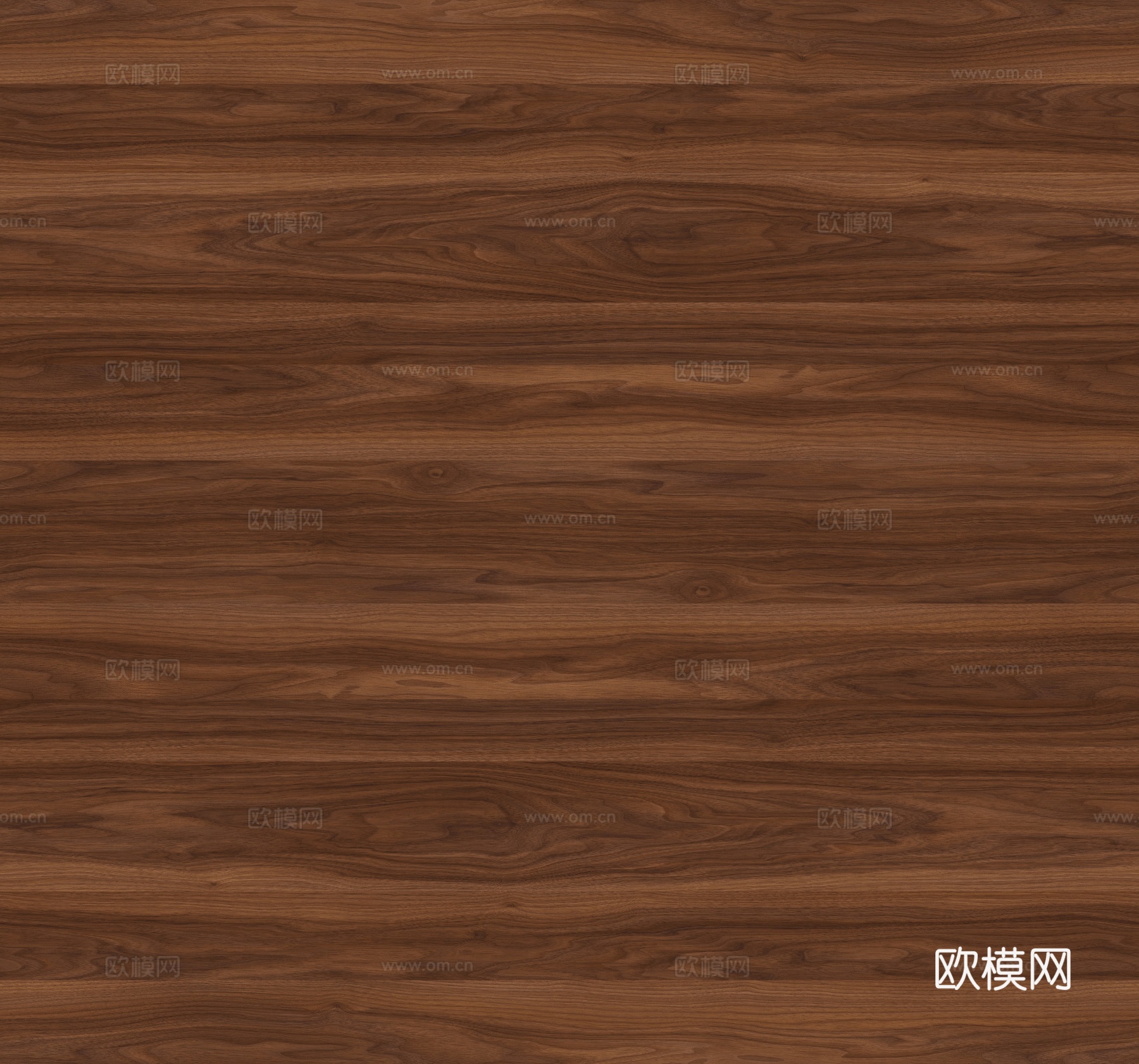 尤加利木纹