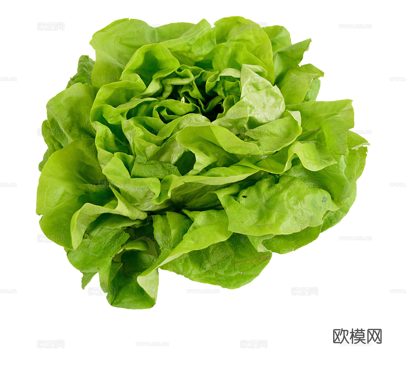PNG免扣蔬菜