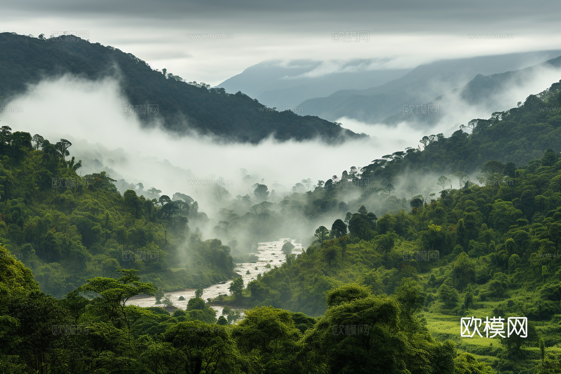 热带雨林风景贴图