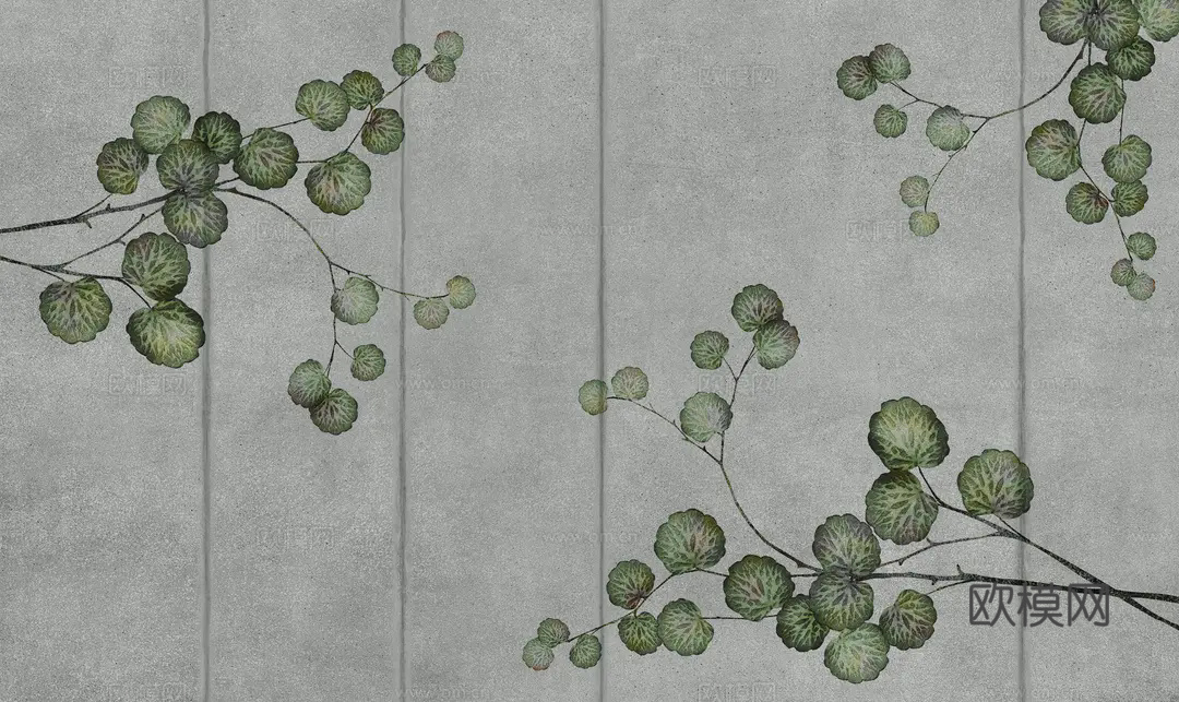 灰色植物壁纸