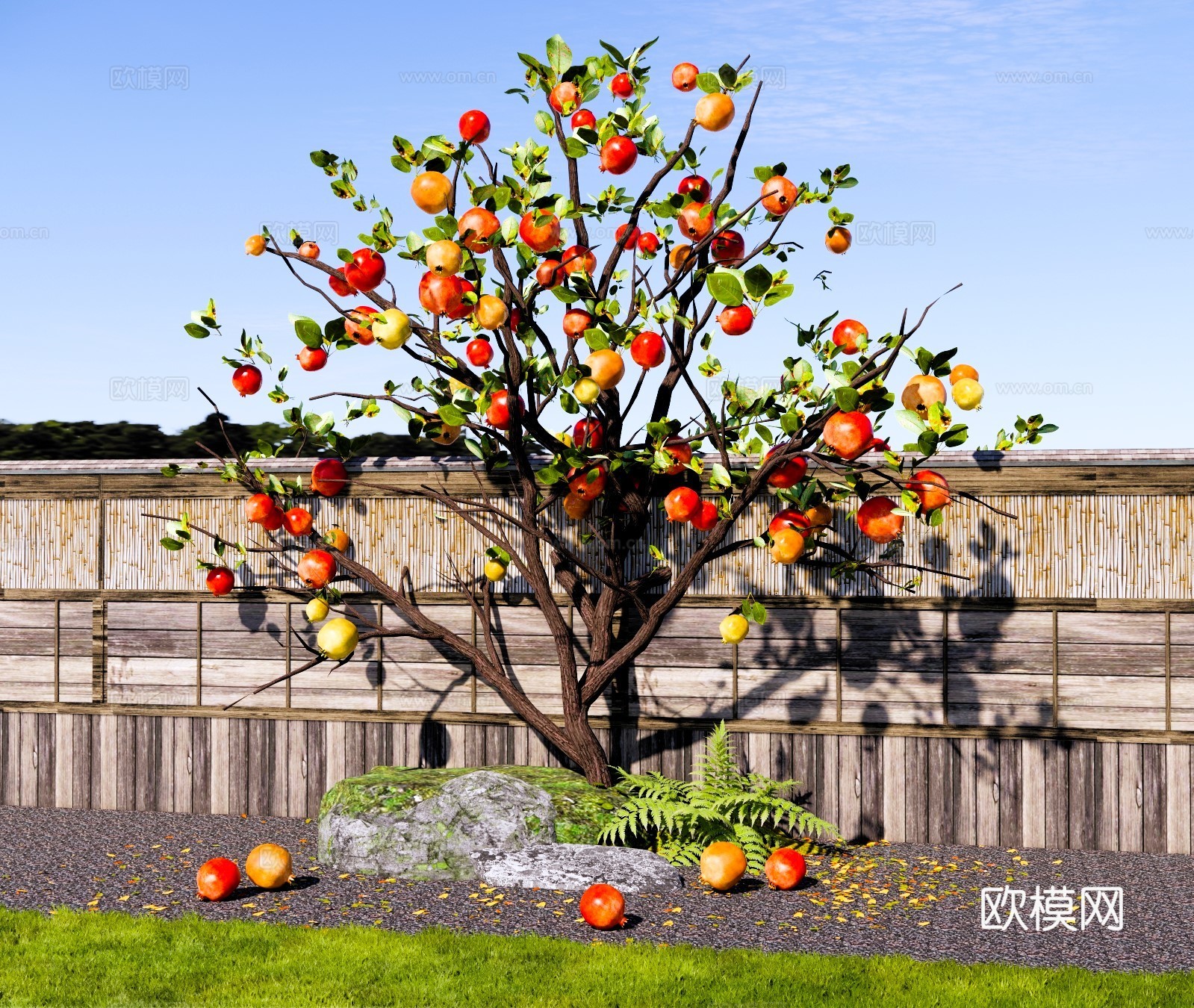 乔木 石榴树 庭院果树 景观造型花树 石榴果树 园林景观树su模型