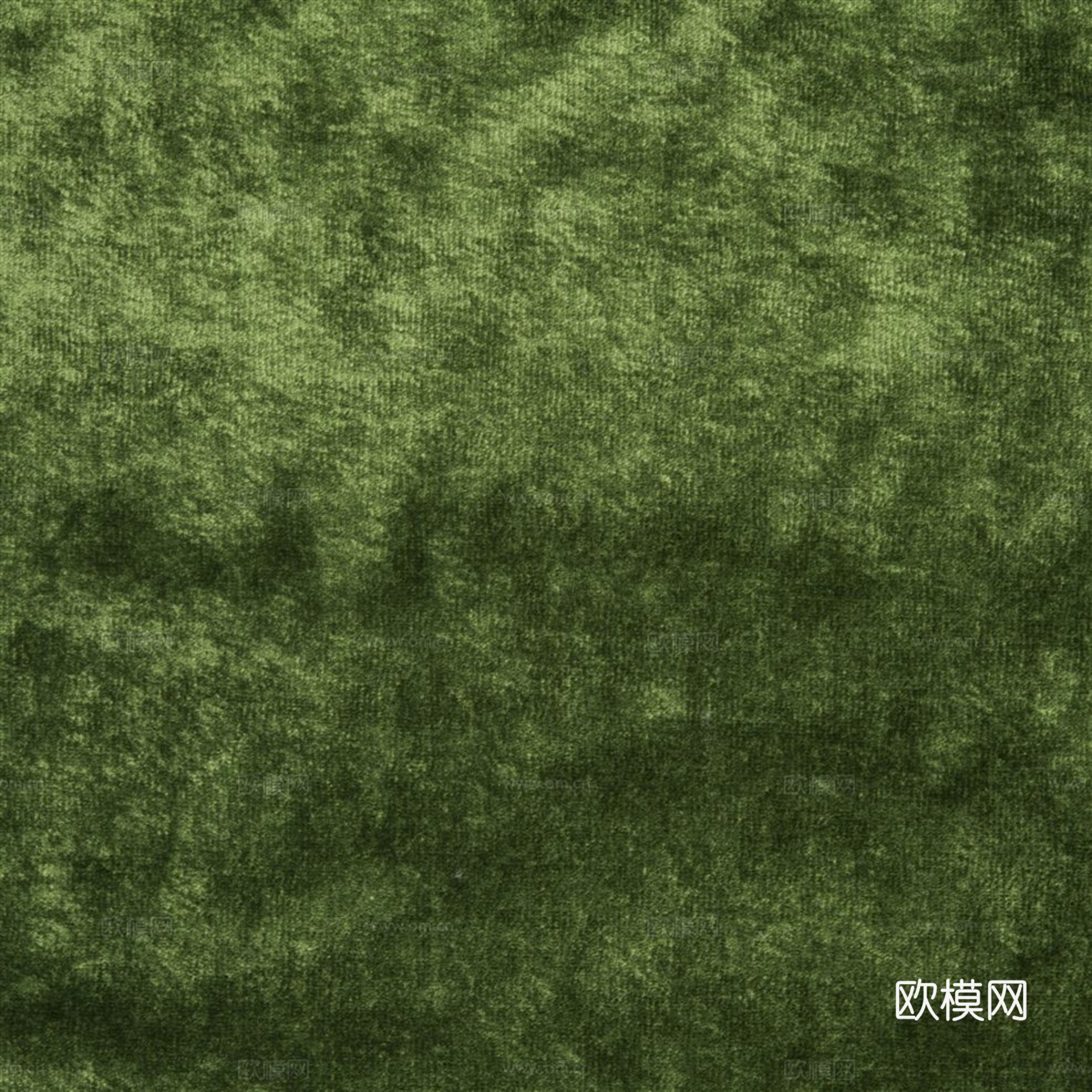草地 草皮