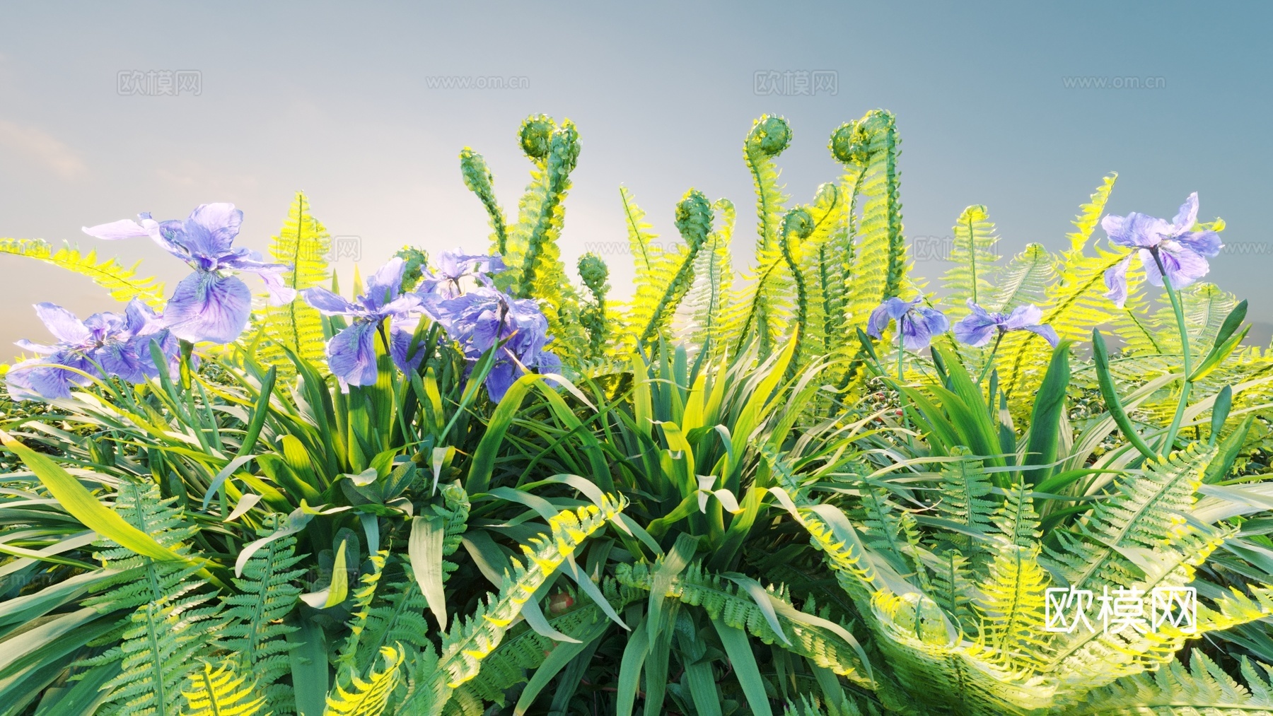 景观灌木 灌木 植物组合 花3d模型