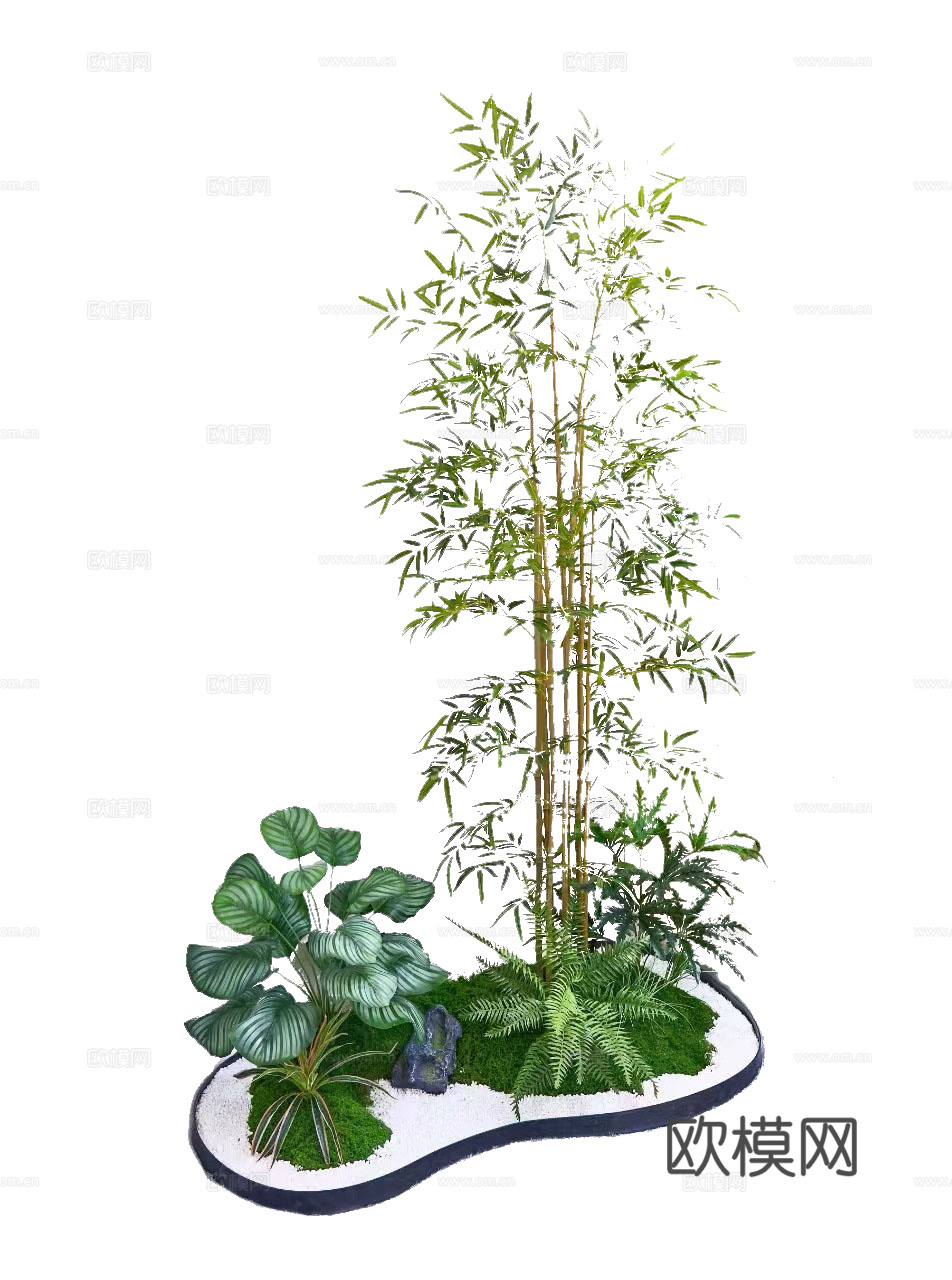 竹子景观