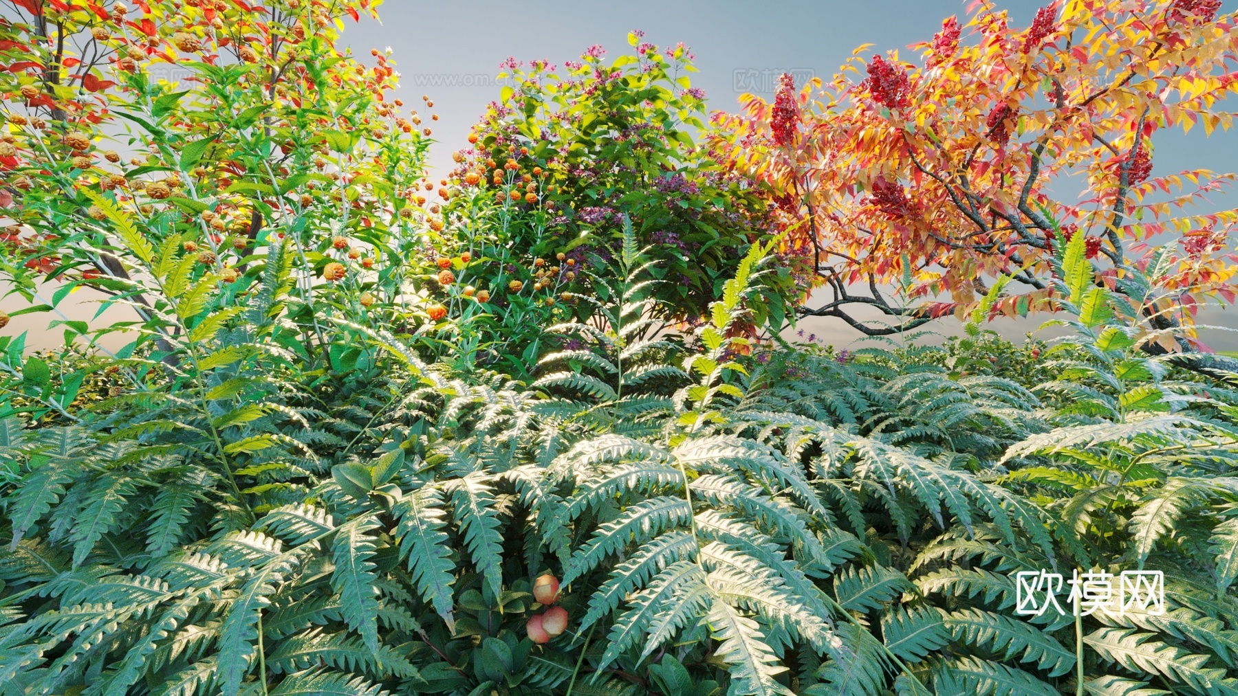 景观灌木 灌木 植物组合 花3d模型