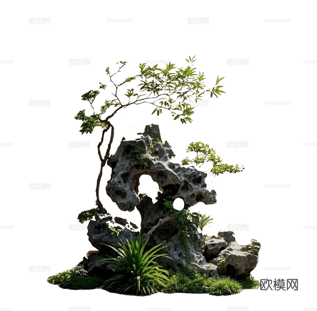 石头景观造景