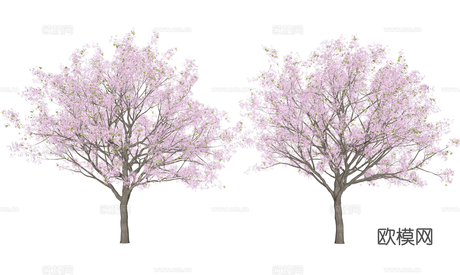 日式樱花树 景观树 梨花树 乔木 庭院树 花树su模型