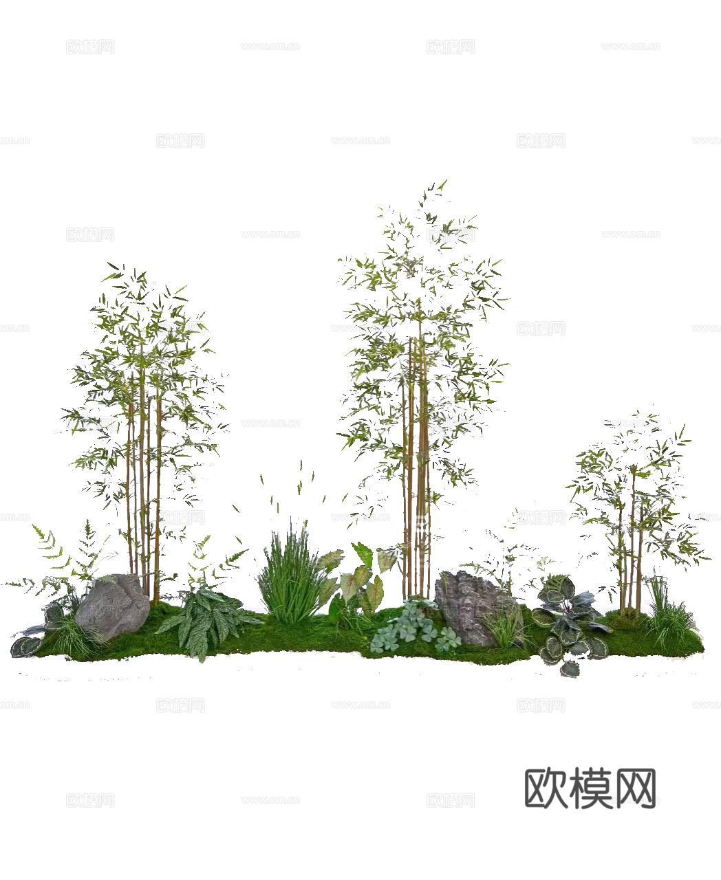 竹子景观