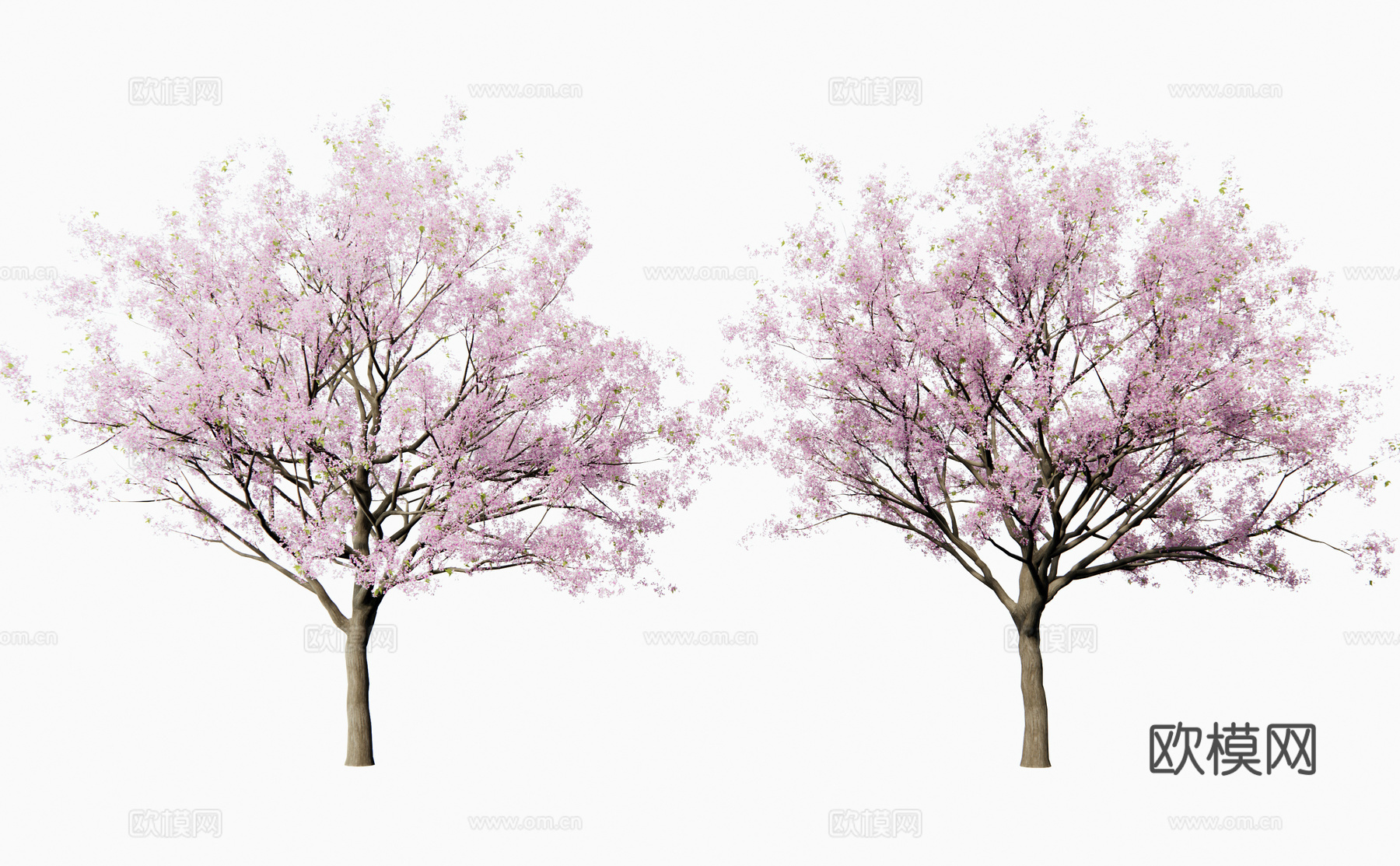 日式樱花树 景观树 梨花树 乔木 庭院树 花树su模型