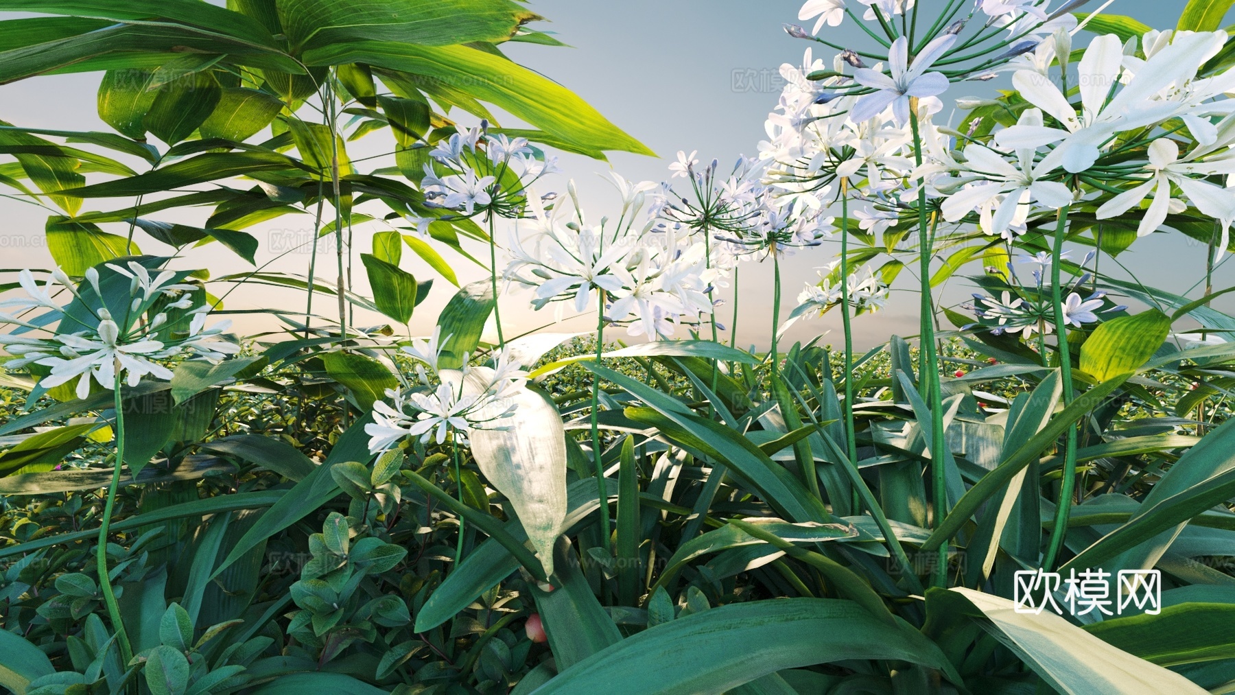 景观灌木 灌木 植物组合 花3d模型