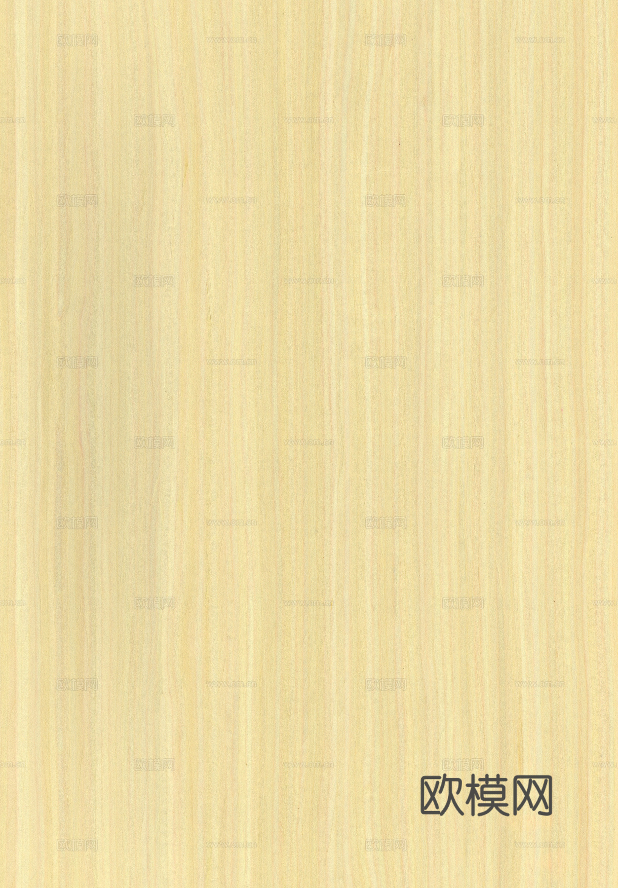 橡木