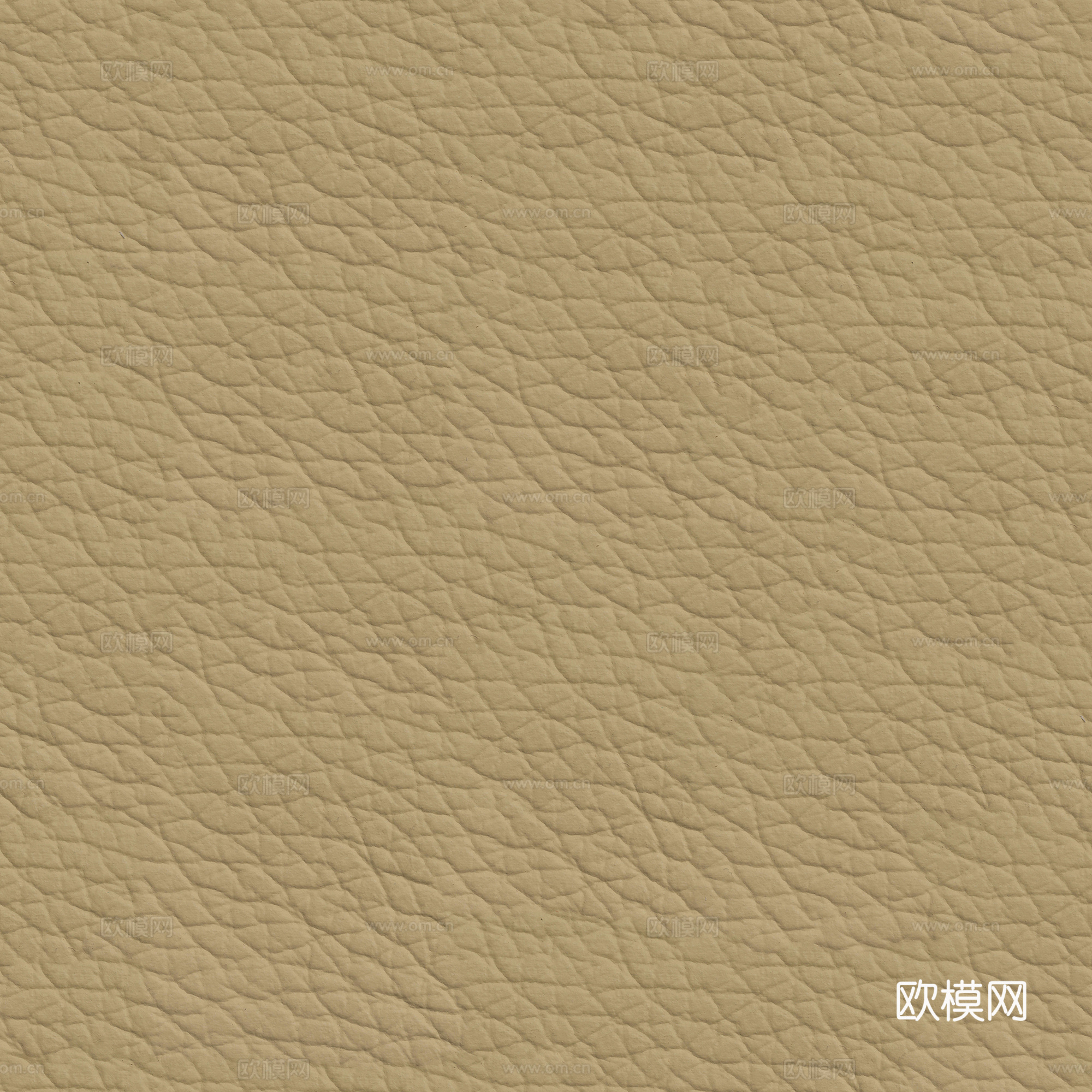 现代皮革 真皮 粗纹皮革