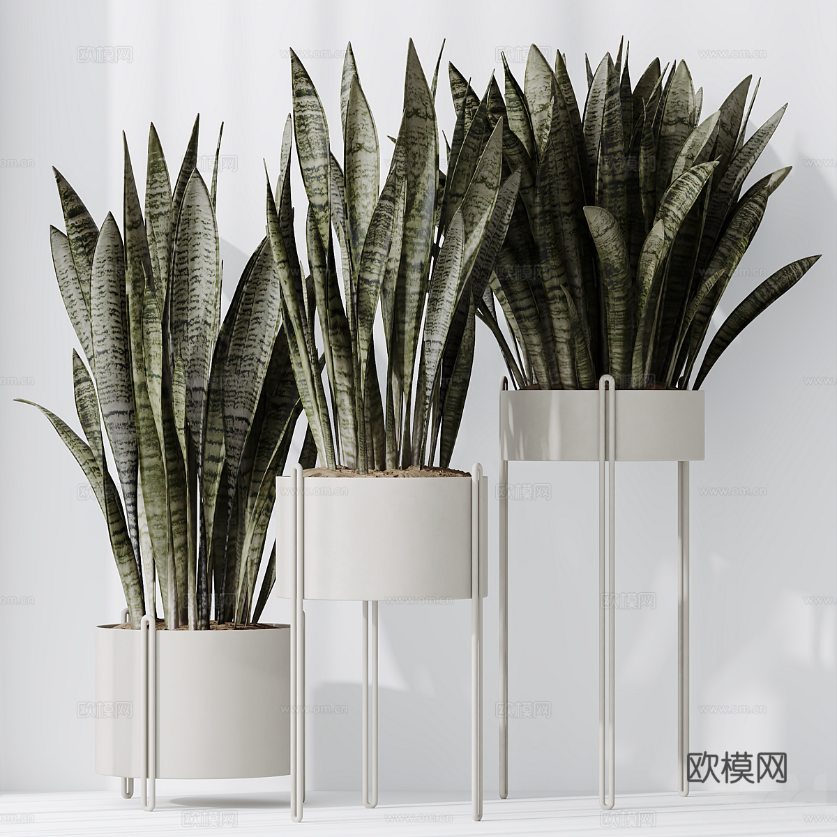 现代绿植盆栽 盆景3d模型