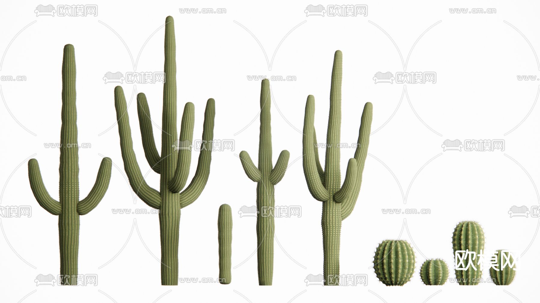 仙人掌 植物su模型下载（渲染图2）