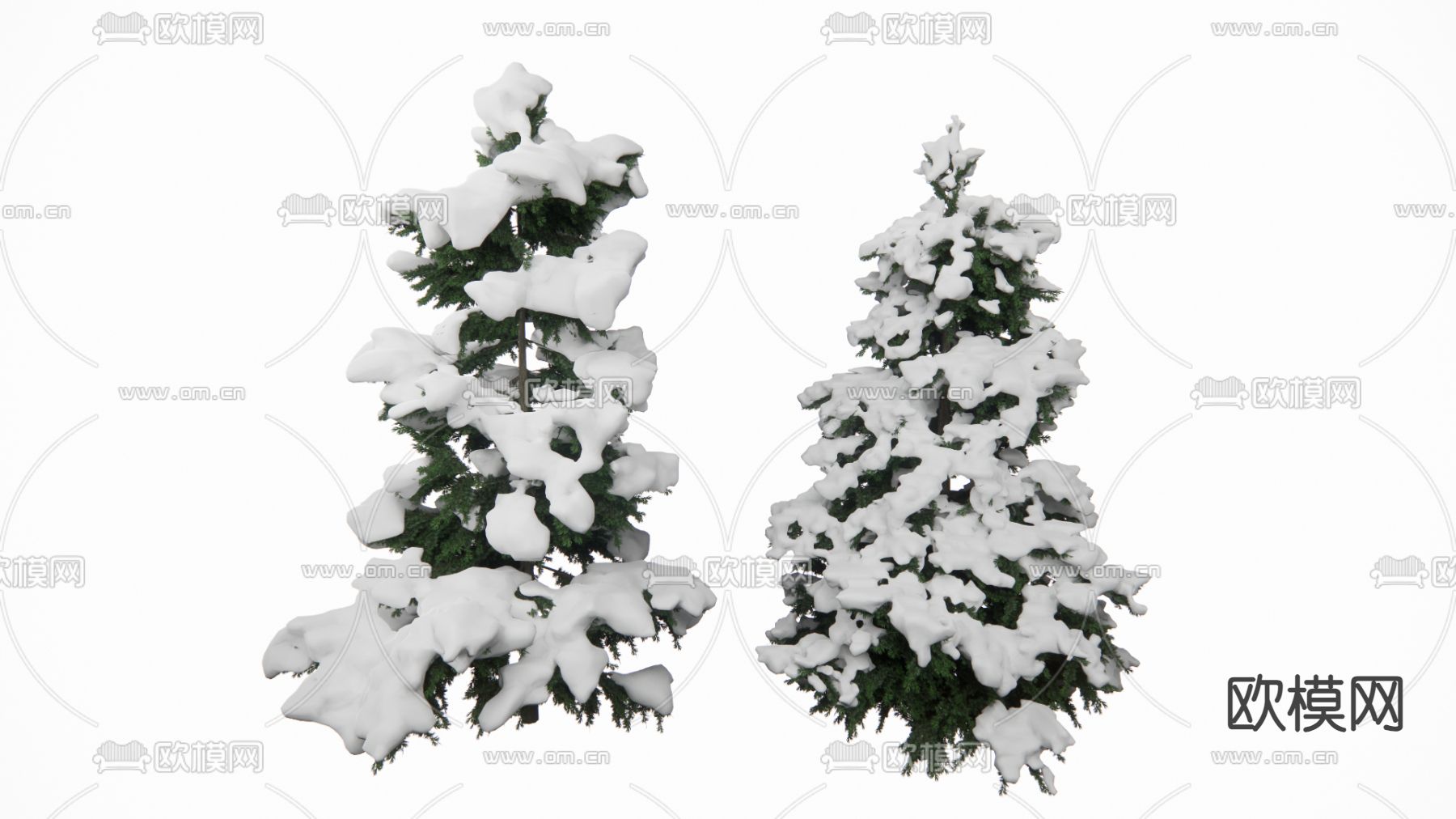 冬季雪松树su模型下载（渲染图2）