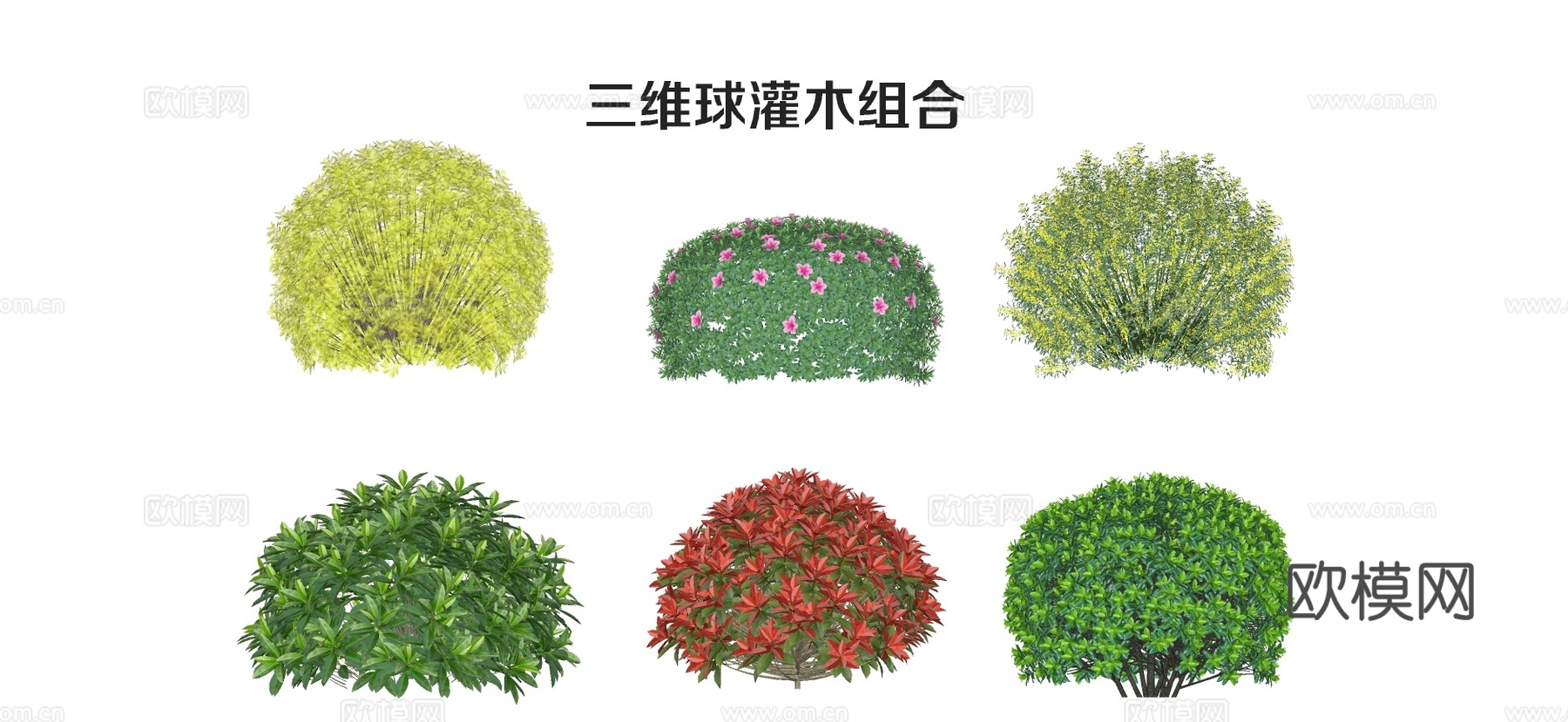 现代灌木球 球灌 灌木植物组合su模型下载（渲染图1）