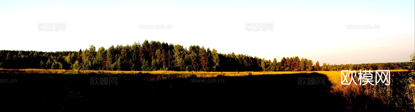 ​​草地前景 树林中景 蓝天背景 横幅构图 清新色调 白天户