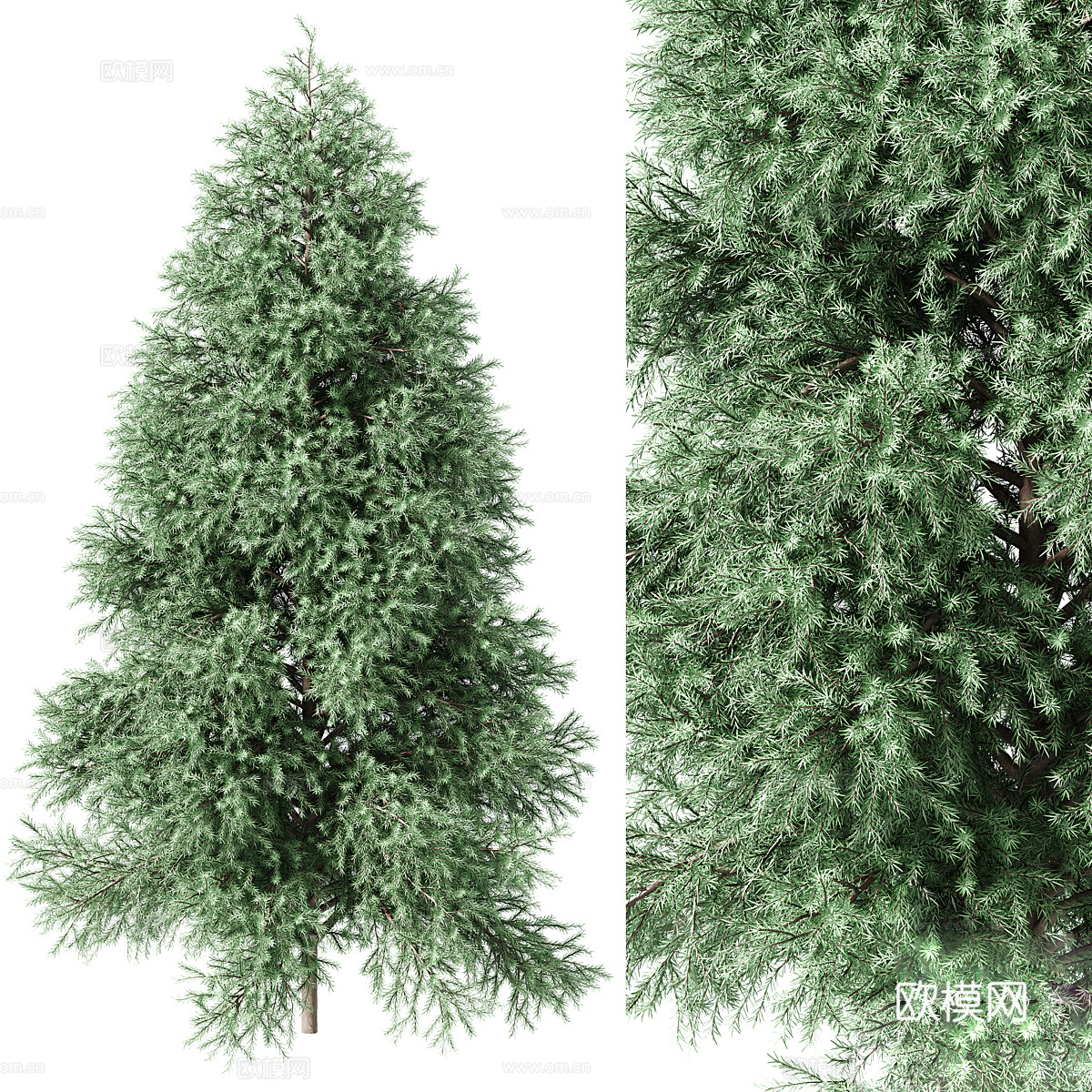 盆景盆栽3d模型
