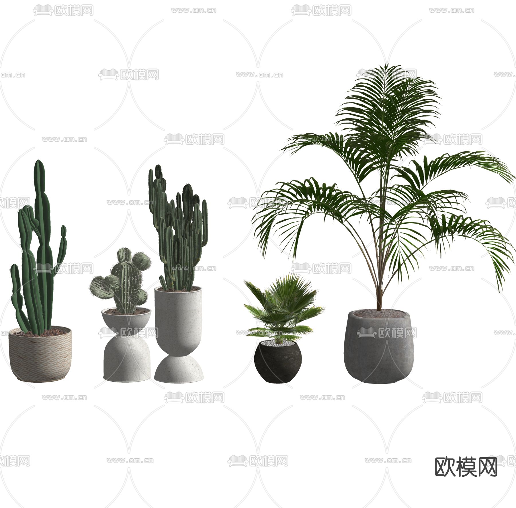 现代仙人掌绿植盆栽su模型下载（渲染图2）