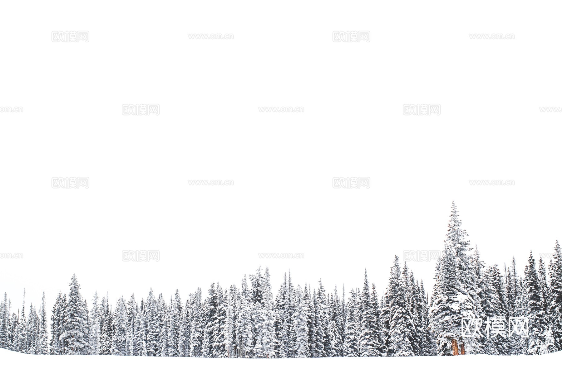 雪阵几何 可移除背景松阵 空域呼吸 横构雪域负空间 雪景森林