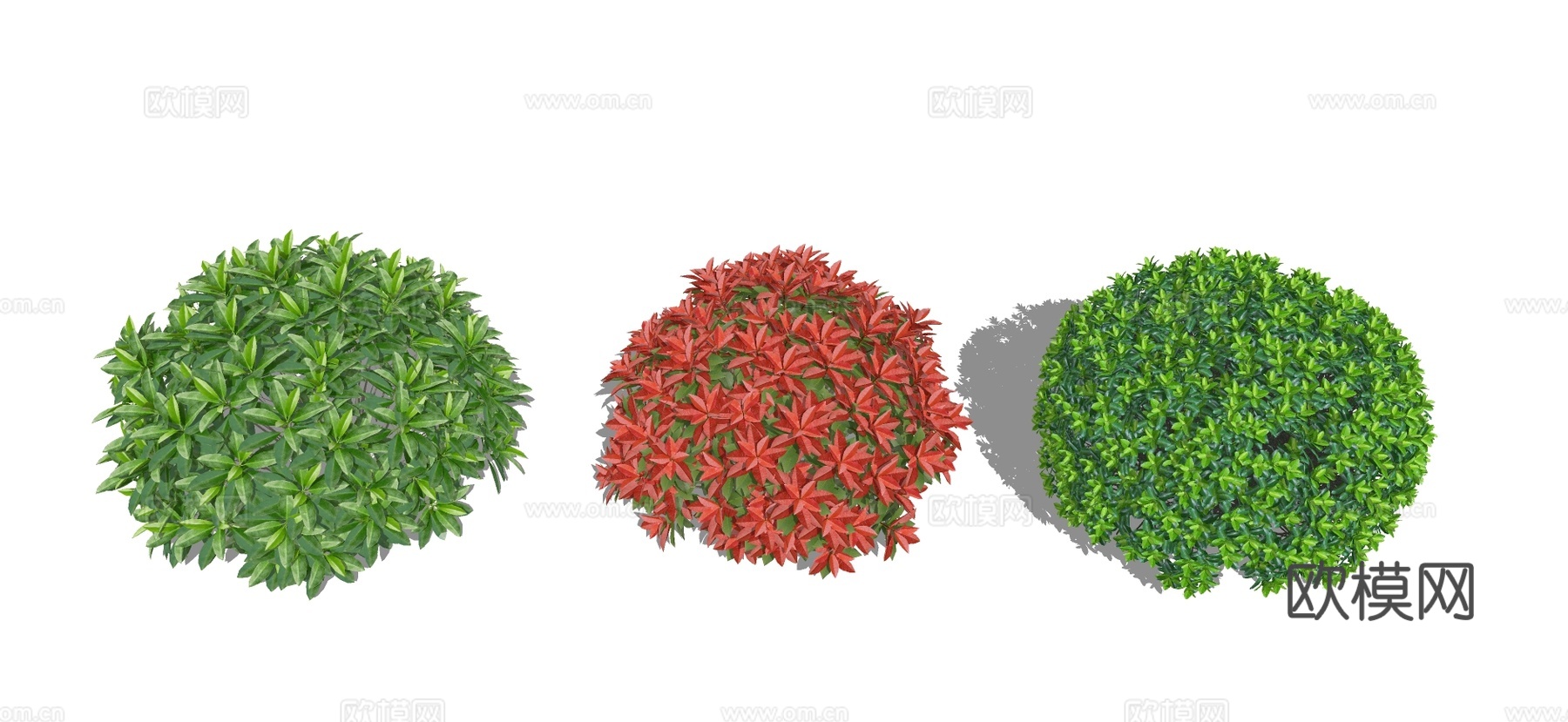 现代灌木球 球灌 灌木植物组合su模型下载（渲染图2）