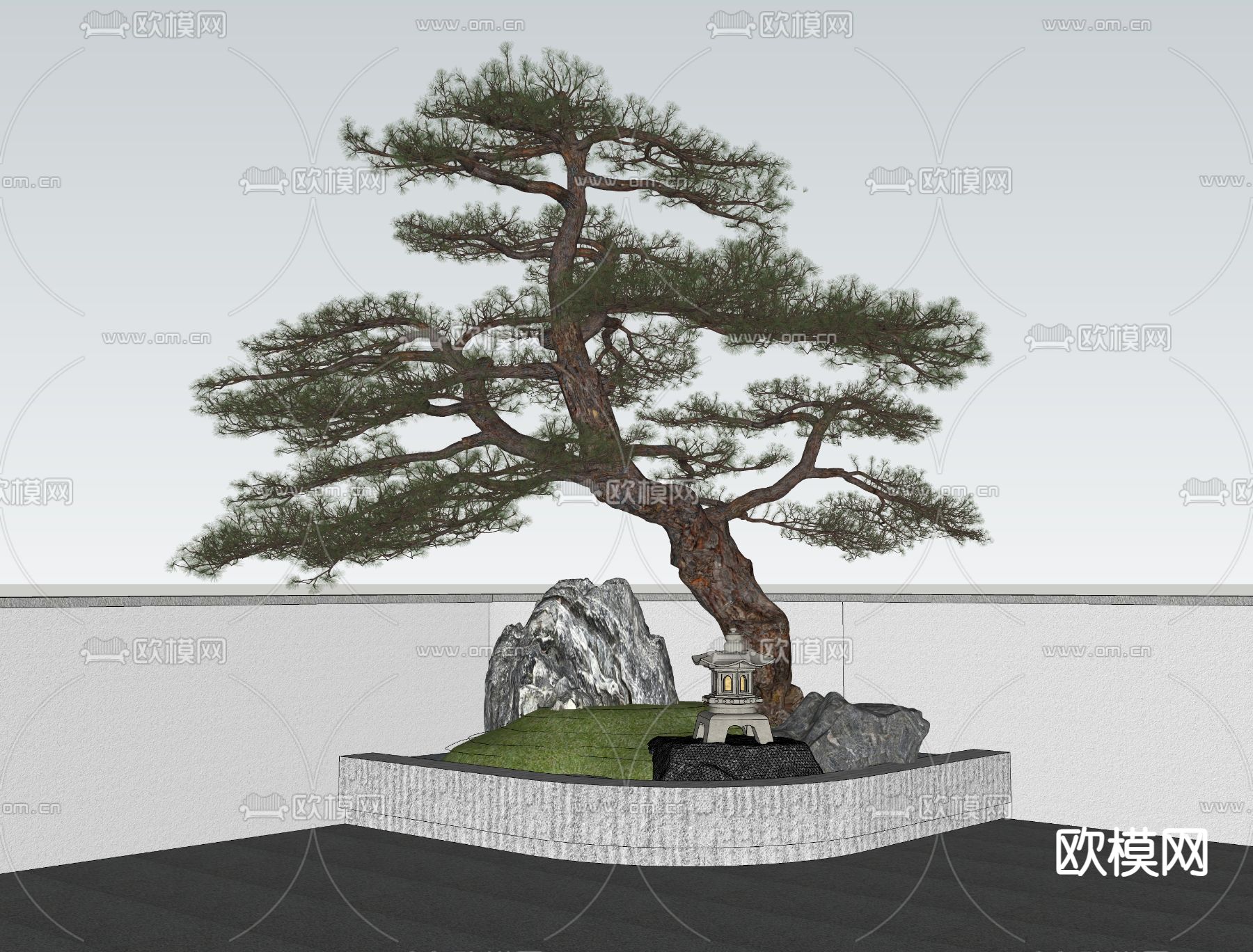 中式松树 罗汉松su模型下载（渲染图2）
